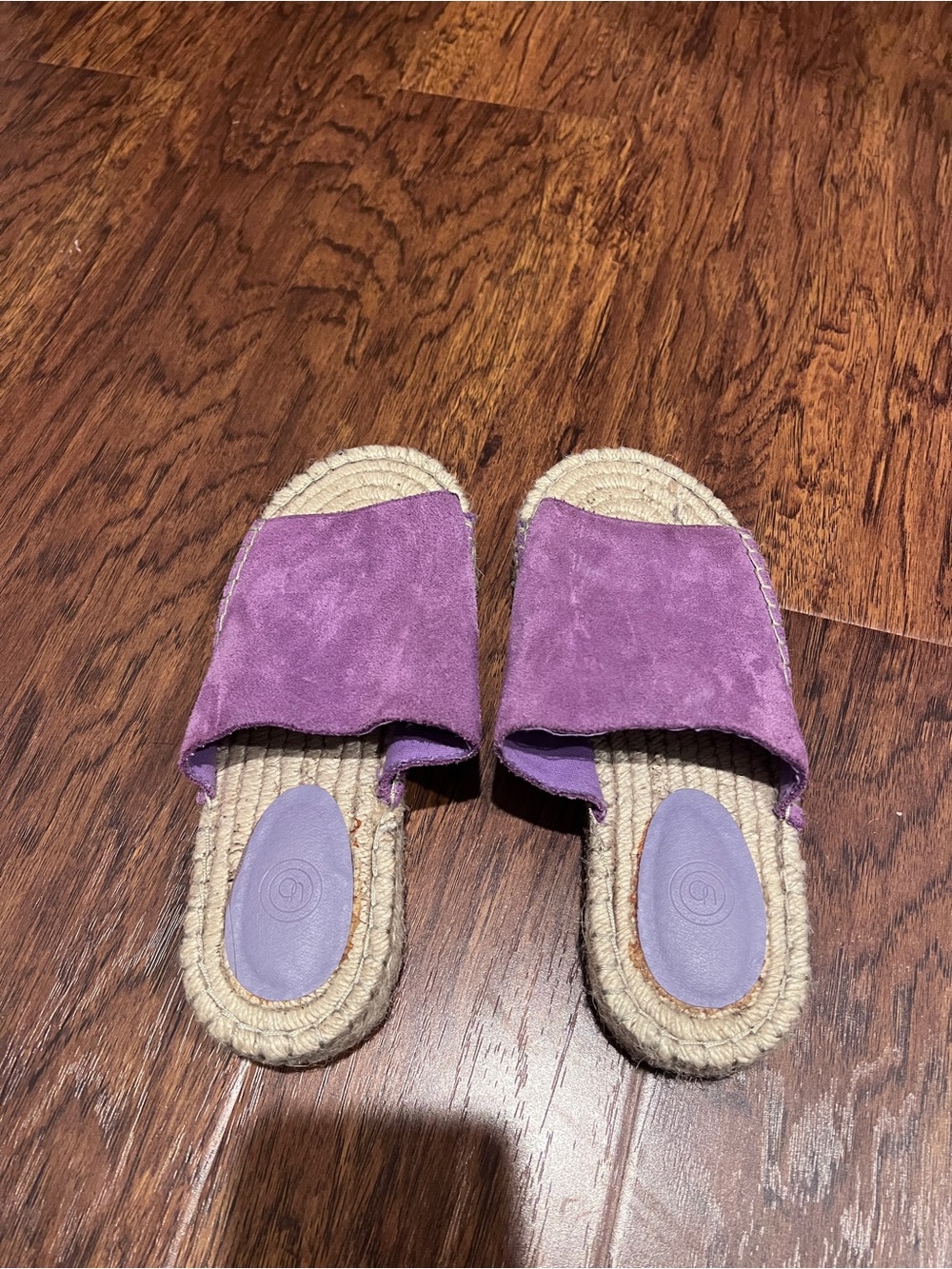 Urban outfitters Women’s Lavender Slide Espadrille Sandals - Suede Upper